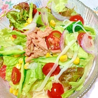 野菜いっぱいヘルシートマトとツナソーメン